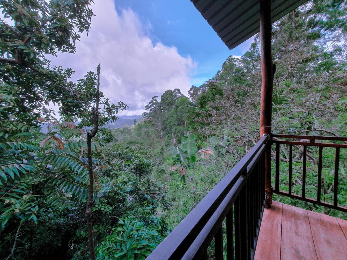 Serene Homestay Ела Екстериор снимка